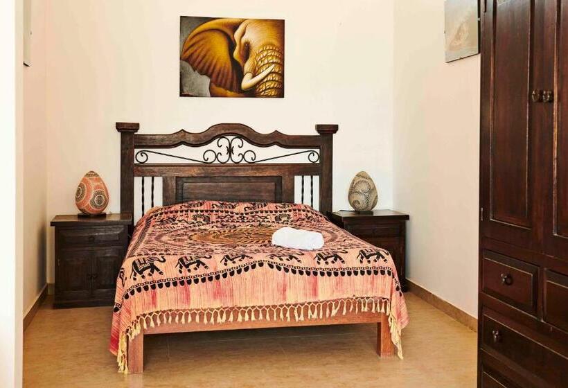 اتاق استاندارد چهار تخته, Buena Vista Lobitos