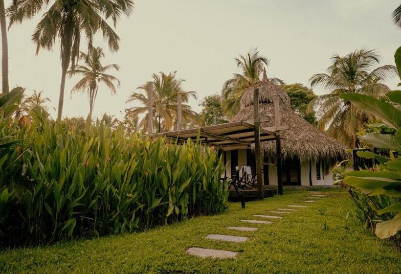 اتاق استاندارد, Viajero Tayrona Hostel & Ecohabs