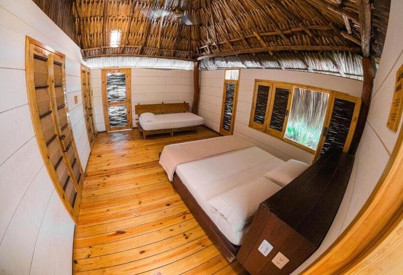 اتاق استاندارد سه نفره, Viajero Tayrona Hostel & Ecohabs