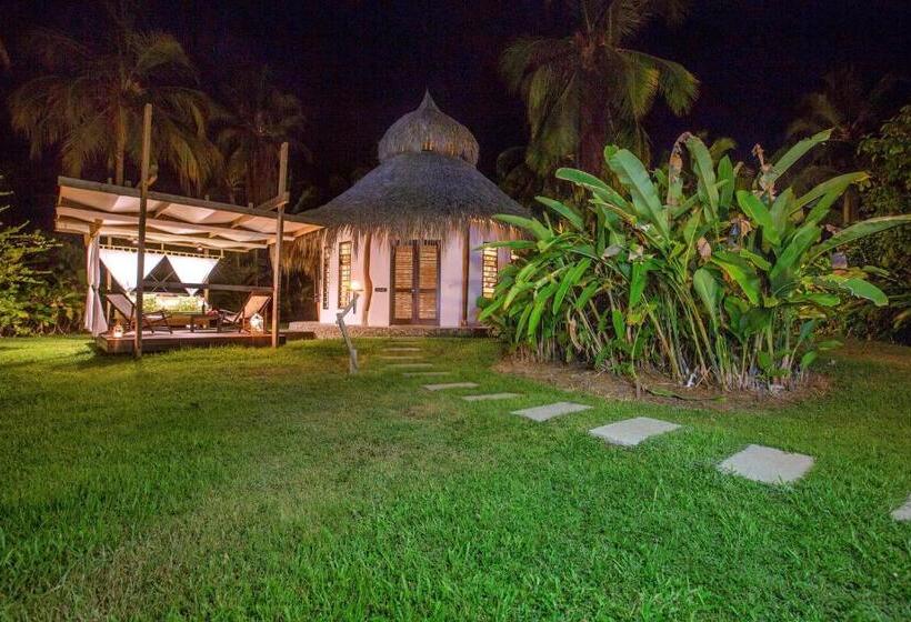اتاق استاندارد چهار تخته, Viajero Tayrona Hostel & Ecohabs