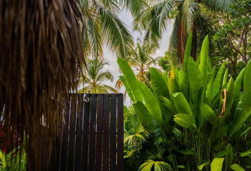 اتاق استاندارد چهار تخته, Viajero Tayrona Hostel & Ecohabs