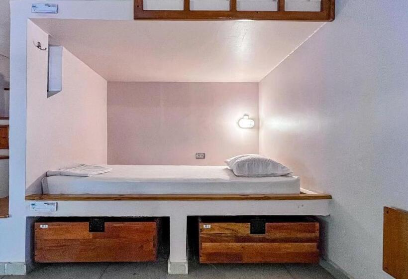 اتاق خانوادگی, Viajero Tayrona Hostel & Ecohabs