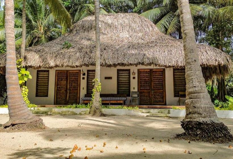 اتاق خانوادگی, Viajero Tayrona Hostel & Ecohabs