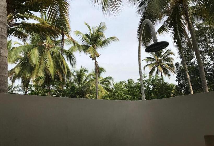 اتاق خانوادگی, Viajero Tayrona Hostel & Ecohabs