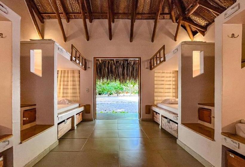 اتاق خانوادگی, Viajero Tayrona Hostel & Ecohabs