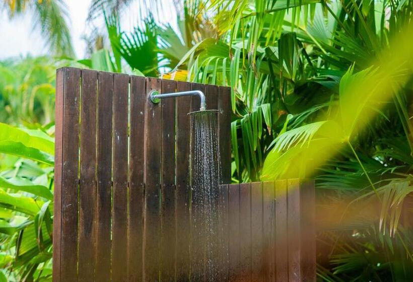 اتاق پنج‌تخته استاندارد, Viajero Tayrona Hostel & Ecohabs
