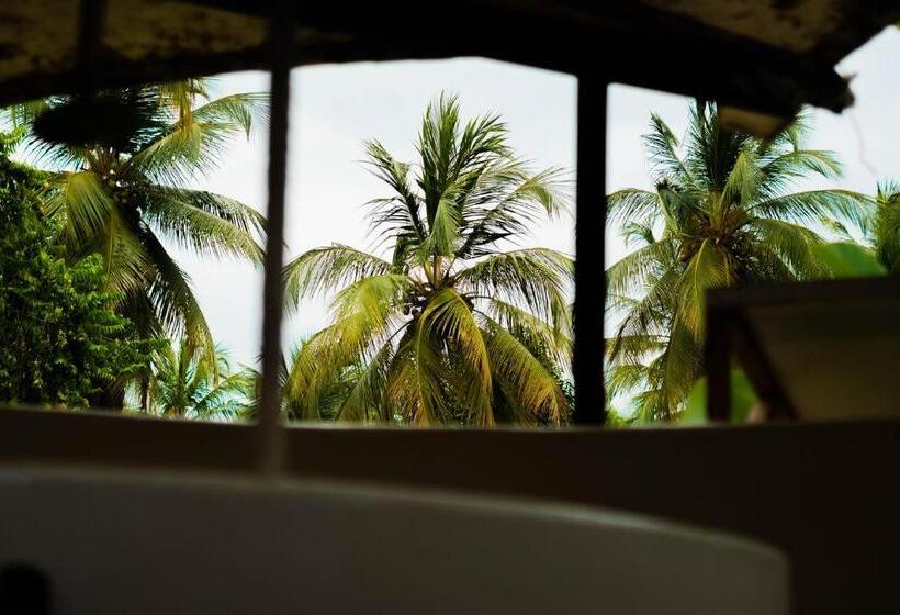 اتاق پنج‌تخته استاندارد, Viajero Tayrona Hostel & Ecohabs