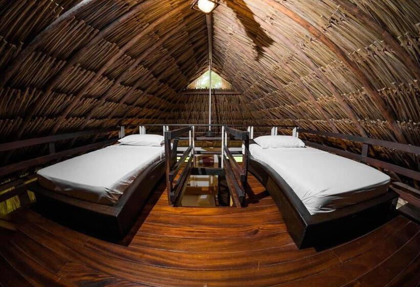 اتاق پنج‌تخته استاندارد, Viajero Tayrona Hostel & Ecohabs