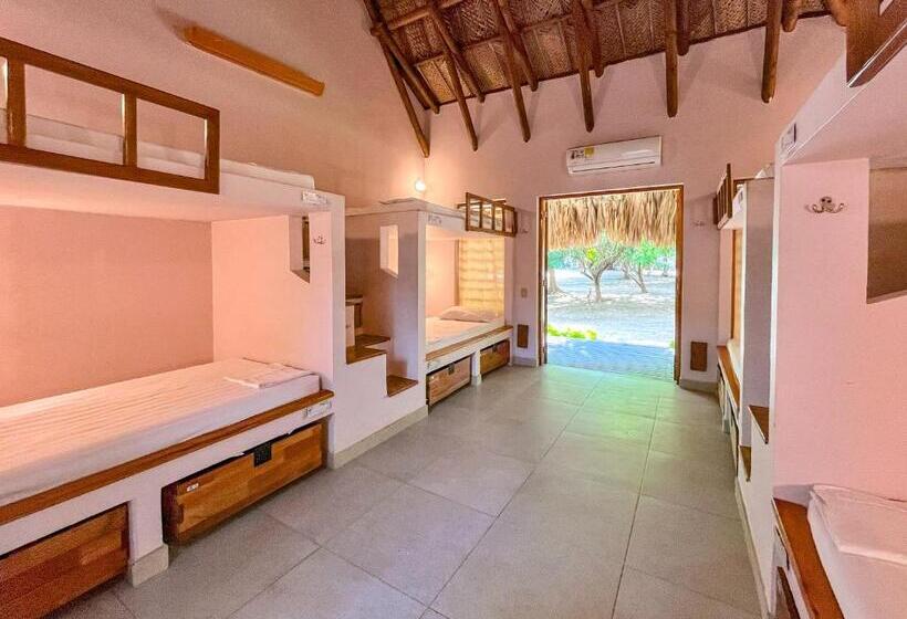 تختخواب در اتاق مشترک, Viajero Tayrona Hostel & Ecohabs