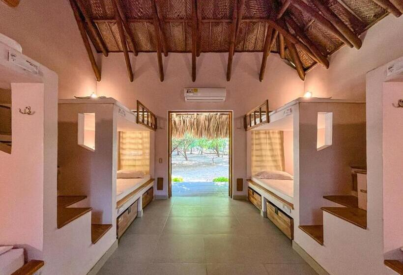 تختخواب در اتاق مشترک, Viajero Tayrona Hostel & Ecohabs