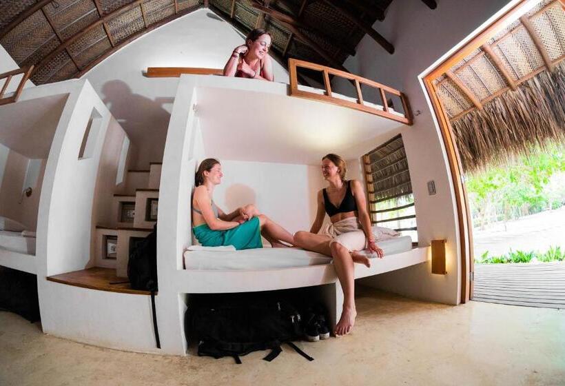 تختخواب در اتاق مشترک, Viajero Tayrona Hostel & Ecohabs