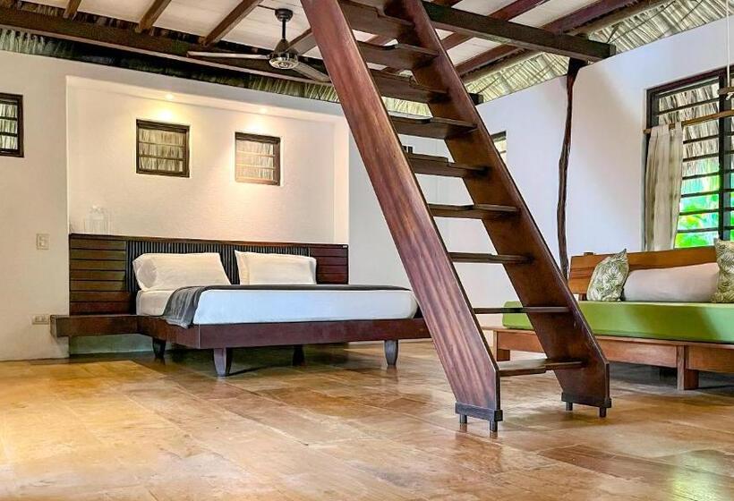 اتاق پنج‌تخته استاندارد, Viajero Tayrona Hostel & Ecohabs