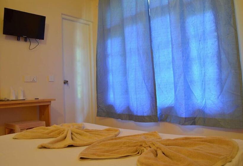 اتاق استاندارد, Local Island Inn