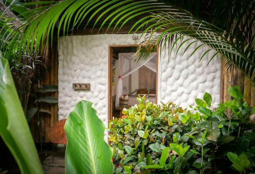 اتاق لوکس, Rio Hostel Buritaca