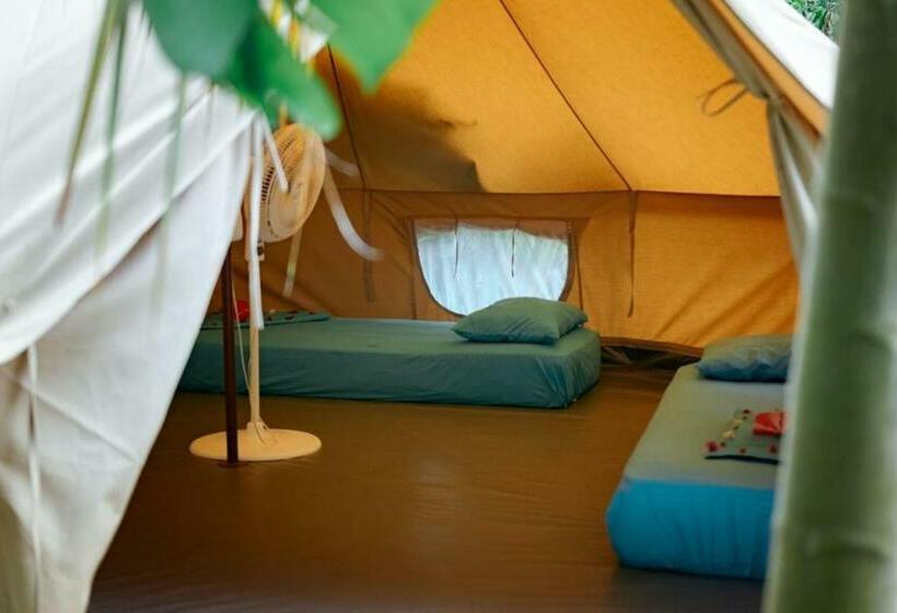 اتاق استاندارد چهارنفره با سرویس بهداشتی مشترک, Rio Hostel Buritaca