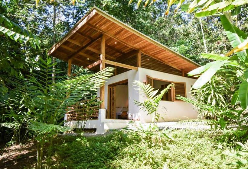 بانگلوی استاندارد, Satta Lodge