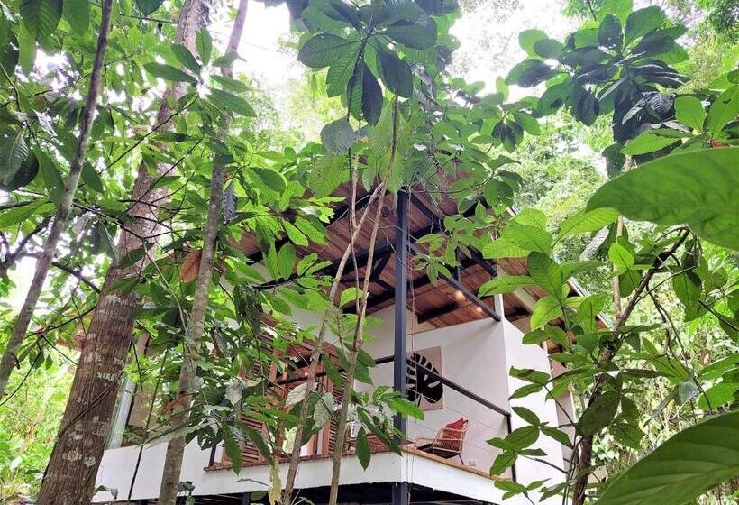 سوییت جونیور, Satta Lodge
