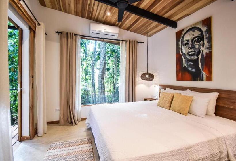 سوییت جونیور, Satta Lodge