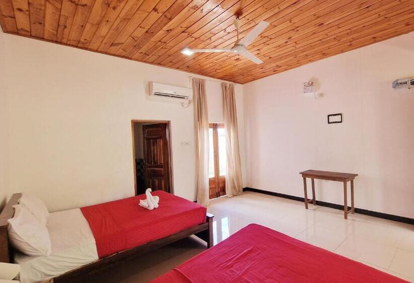 اتاق لوکس خانوادگی, Italian Guest