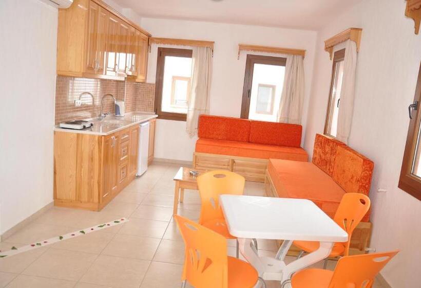 آپارتمان 1 خوابه با چشم‌انداز استخر, Water Garden Apart Otel