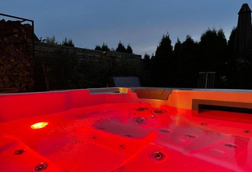اتاق استاندارد با تخت بزرگ, Villa Aruba & Private Spa Suites