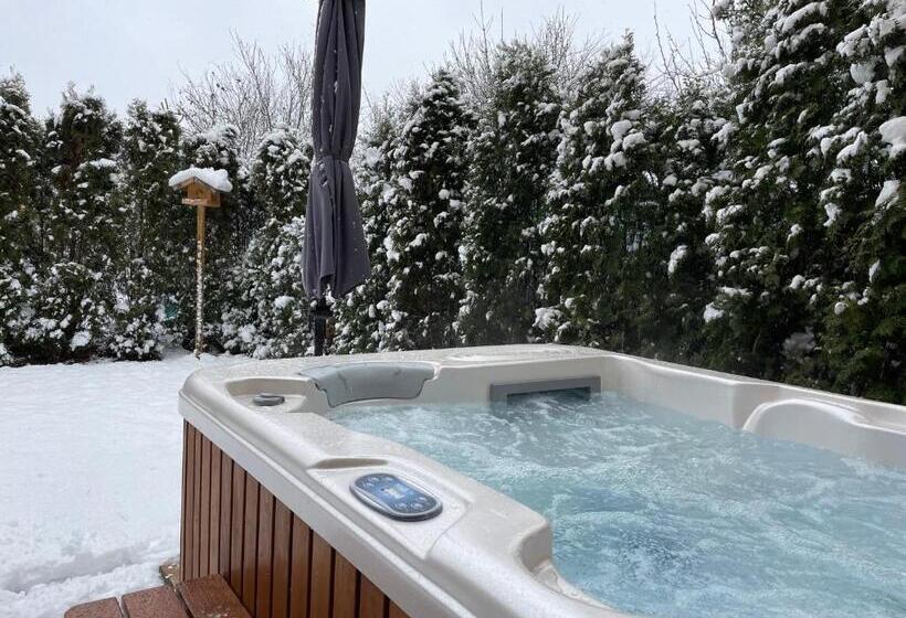 اتاق استاندارد با تخت بزرگ, Villa Aruba & Private Spa Suites