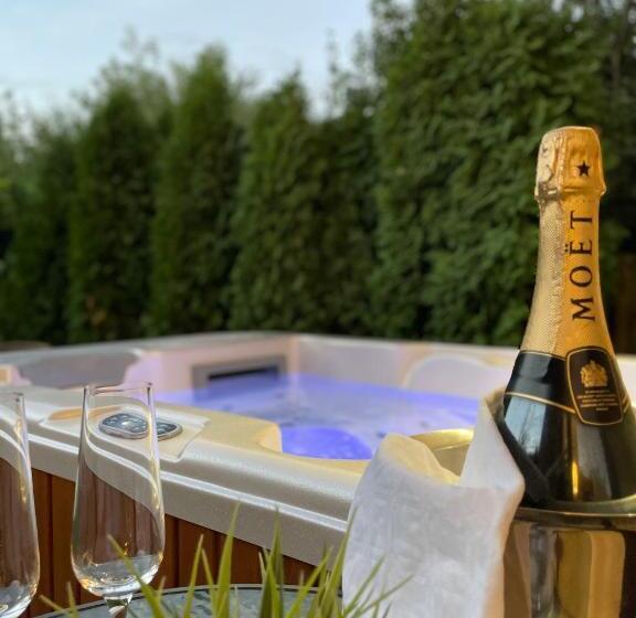 اتاق استاندارد با تخت بزرگ, Villa Aruba & Private Spa Suites