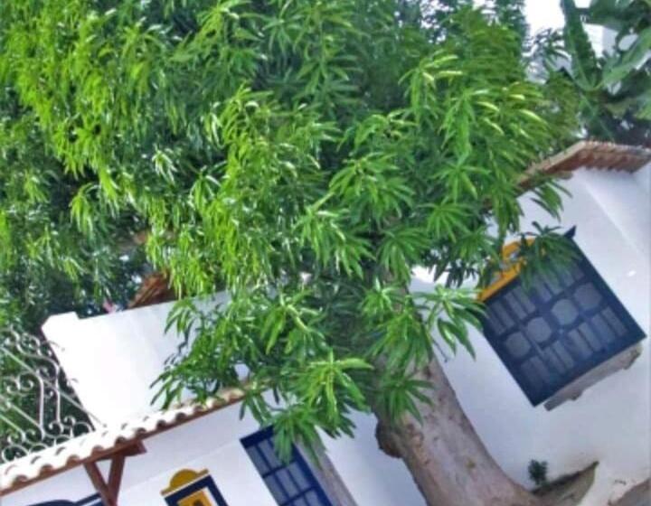 اتاق کلاسیک سه تخته, Pousada Vila Sol Maior