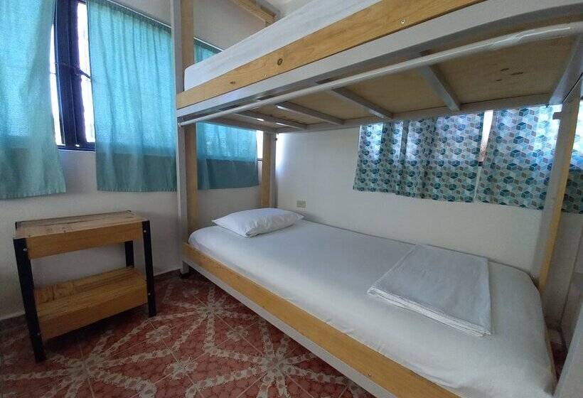 تختخواب در اتاق مشترک, Bermejo Hostel