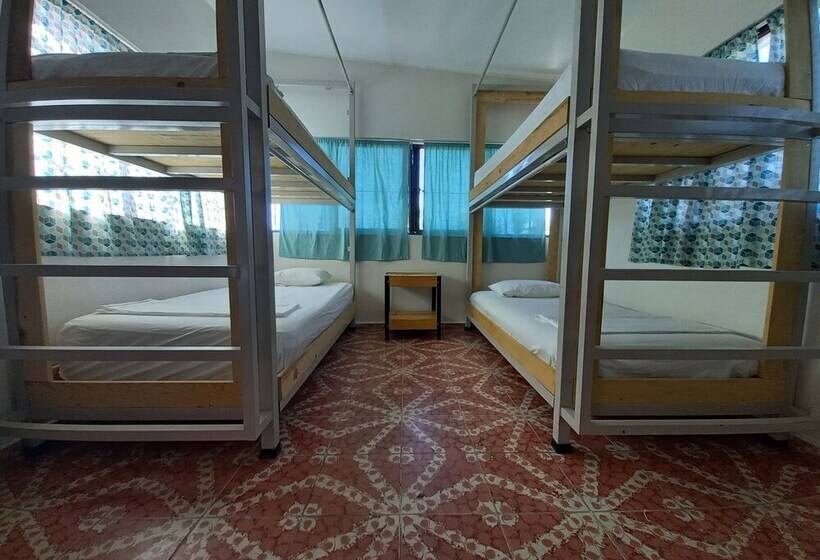 تختخواب در اتاق مشترک, Bermejo Hostel