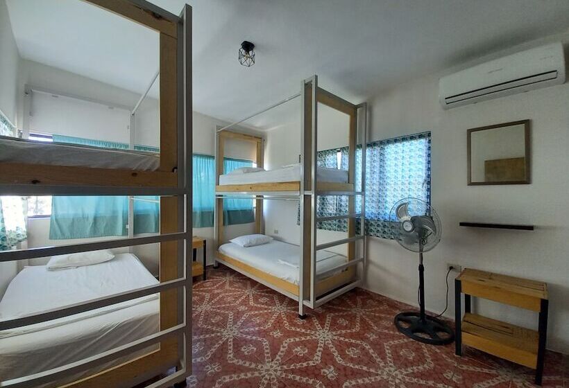 تختخواب در اتاق مشترک, Bermejo Hostel