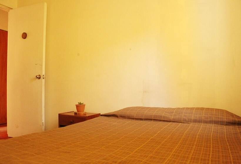 اتاق عادی, Hostel La Posada De Gallo