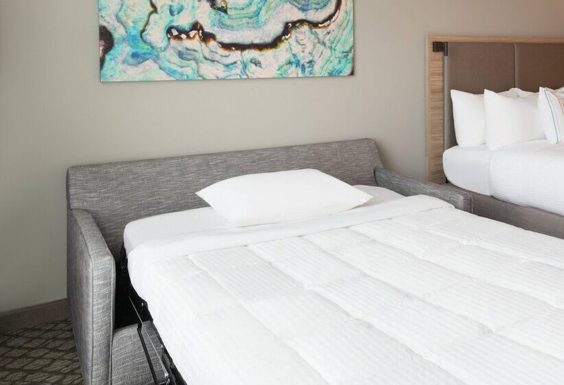 سوئیت با چشم‌انداز, Springhill Suites By Marriott Panama City Beach Beachfront