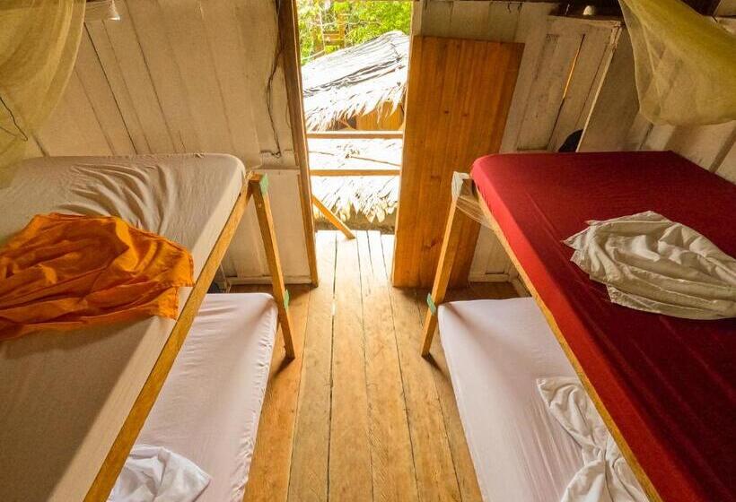 تختخواب در اتاق مشترک, Surf House Estilo Libre