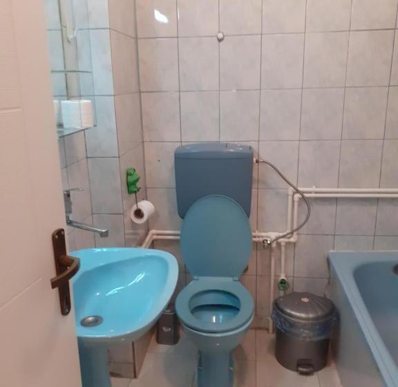 اتاق استاندارد با سرویس بهداشتی مشترک, Apartments Filemi