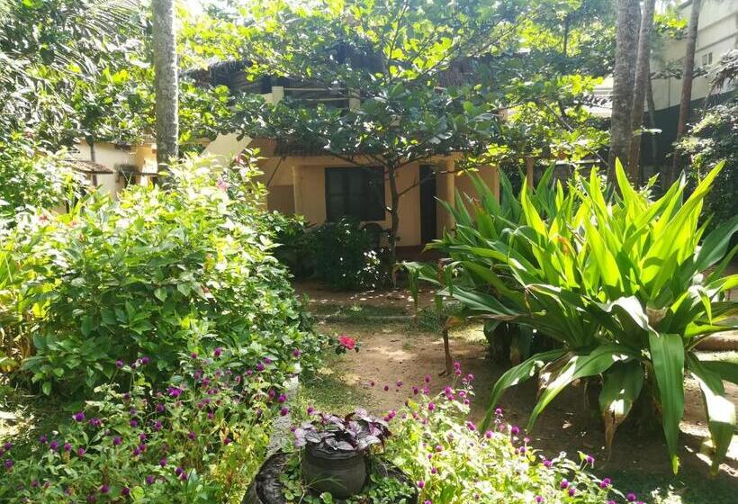اتاق اکونومی, Sukriti Beach Resort