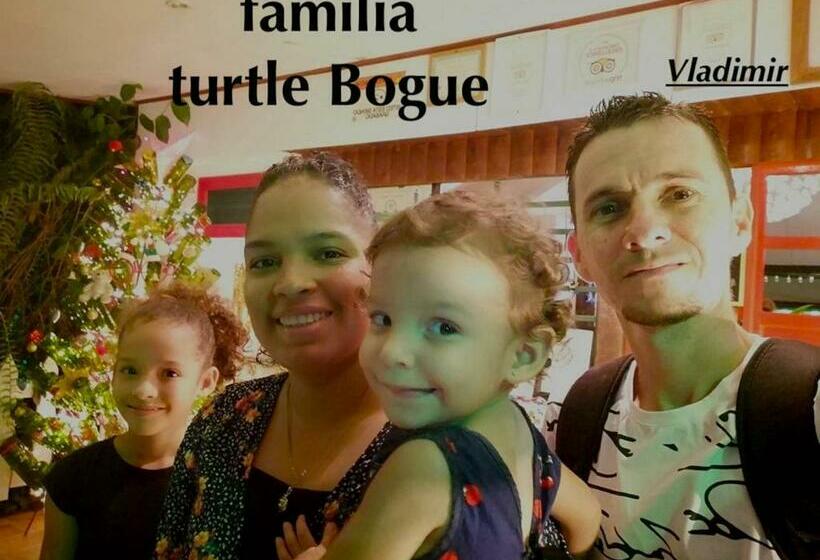 خانه 1 خوابه, Casa Turtle Bogue