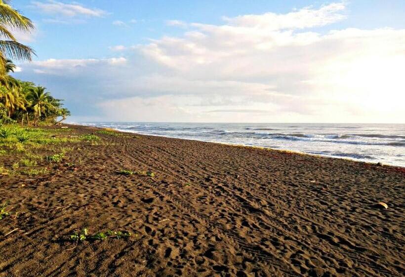 اتاق استاندارد, Casa Turtle Bogue