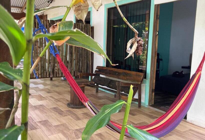 اتاق استاندارد, Casa Turtle Bogue