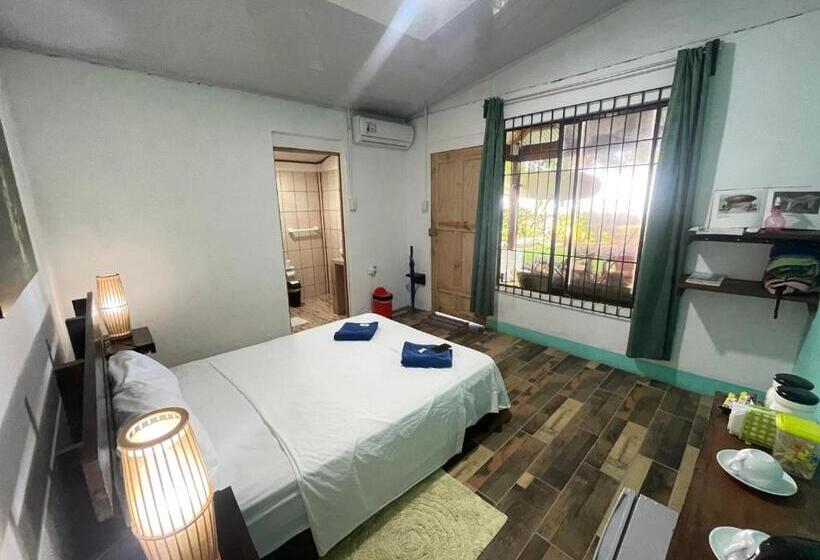 اتاق استاندارد, Casa Turtle Bogue
