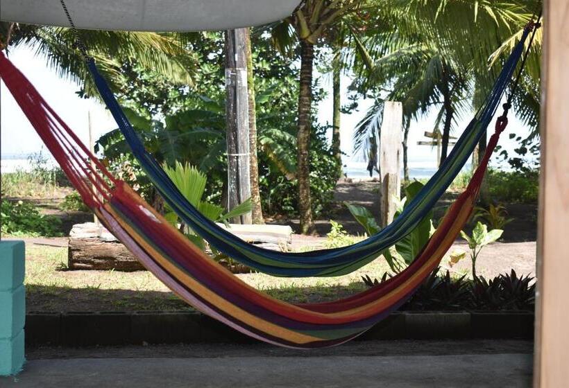 اتاق استاندارد, Casa Turtle Bogue