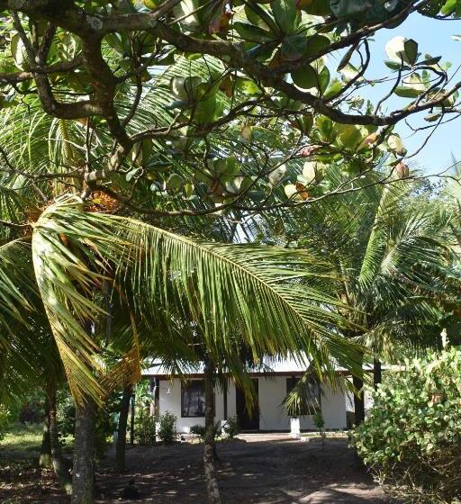 اتاق استاندارد, Casa Turtle Bogue
