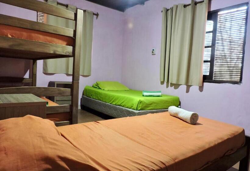 اتاق کلاسیک چهارنفره, Hostel Lazy Gaucho