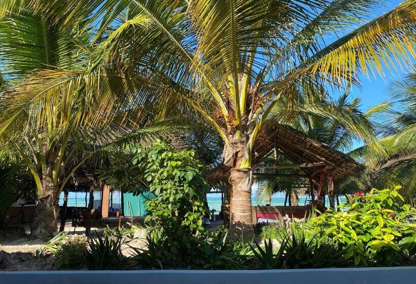 اتاق لوکس, Summer Beach Paje