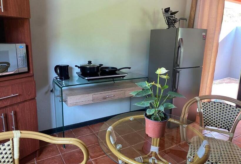 ویلای 1 خوابه, Bongo   Adults Only
