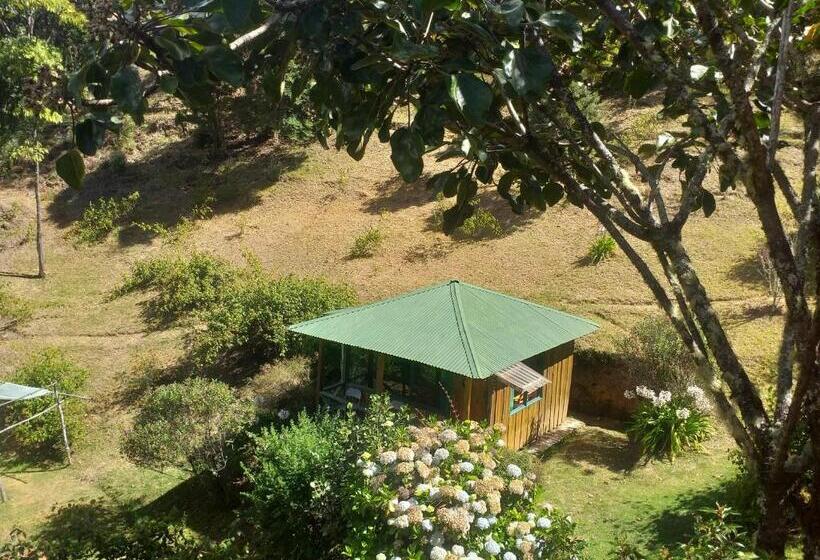 اتاق استاندارد چهارنفره با بالکن, Las Cataratas Lodge