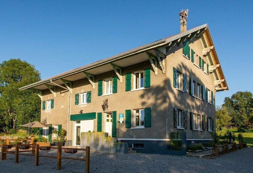 اتاق لوکس, Amodo Lodge