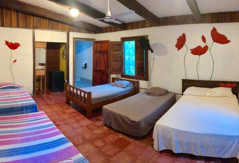 اتاق خانوادگی, Tasty Dayz Hostel