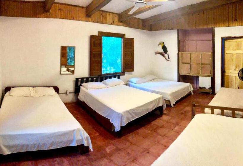 اتاق خانوادگی, Tasty Dayz Hostel