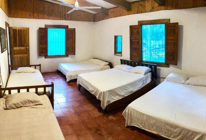 اتاق خانوادگی, Tasty Dayz Hostel